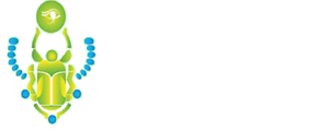 FUMIGACIONES DE CHINCHES EN SAN VICENTE CHICOLOAPAN